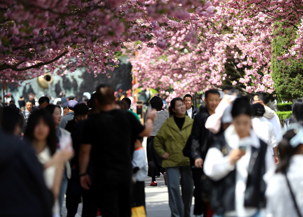 游客在景区漫步。主办方供图