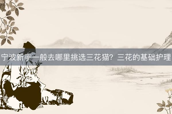宁波新手一般去哪里挑选三花猫？三花的基础护理