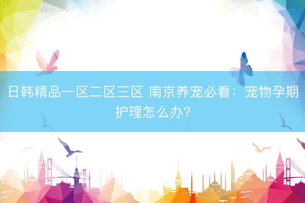日韩精品一区二区三区 南京养宠必看：宠物孕期护理怎么办？