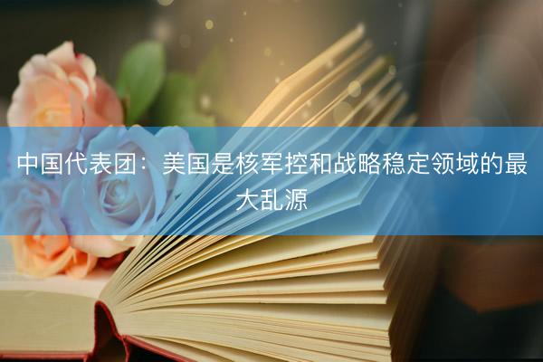 中国代表团：美国是核军控和战略稳定领域的最大乱源