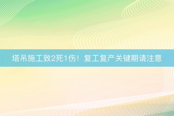 塔吊施工致2死1伤！复工复产关键期请注意