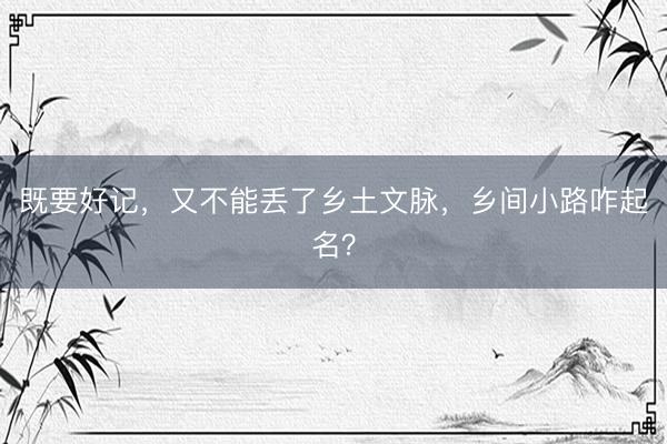 既要好记，又不能丢了乡土文脉，乡间小路咋起名？