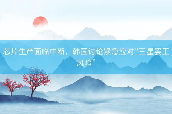 芯片生产面临中断，韩国讨论紧急应对“三星罢工风险”