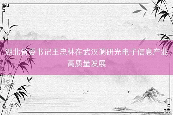 湖北省委书记王忠林在武汉调研光电子信息产业高质量发展