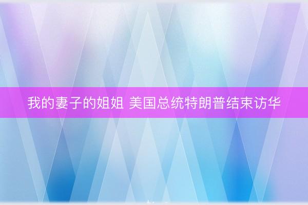 我的妻子的姐姐 美国总统特朗普结束访华