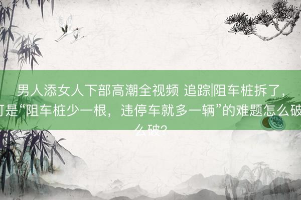 男人添女人下部高潮全视频 追踪|阻车桩拆了，可是“阻车桩少一根，违停车就多一辆”的难题怎么破？
