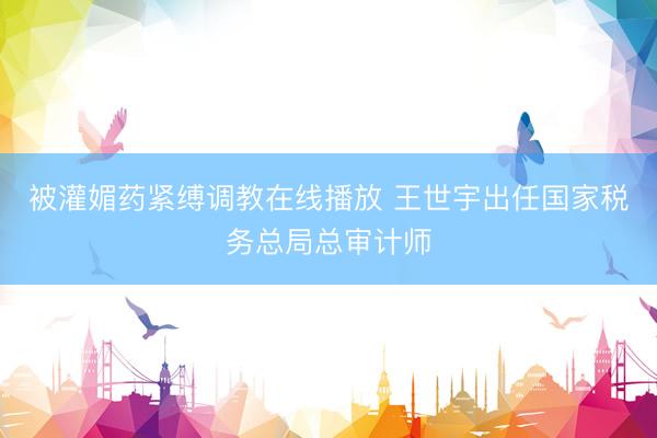 被灌媚药紧缚调教在线播放 王世宇出任国家税务总局总审计师