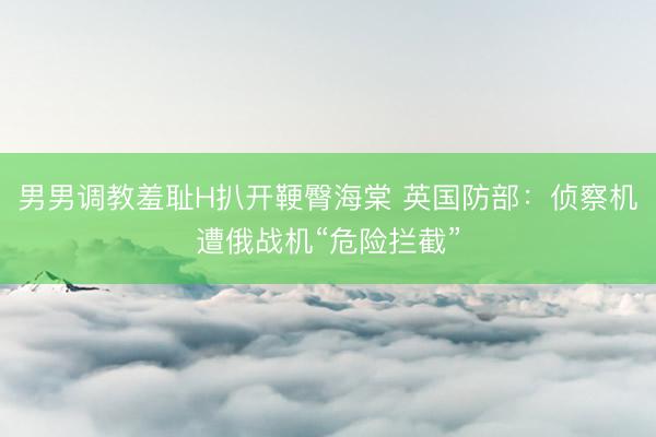 男男调教羞耻H扒开鞕臀海棠 英国防部：侦察机遭俄战机“危险拦截”