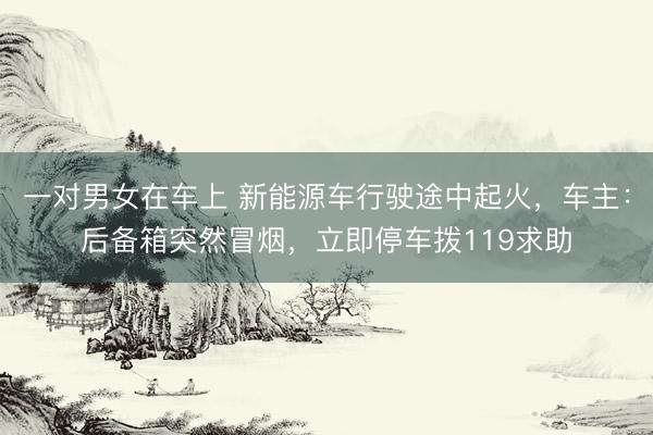 一对男女在车上 新能源车行驶途中起火，车主：后备箱突然冒烟，立即停车拨119求助