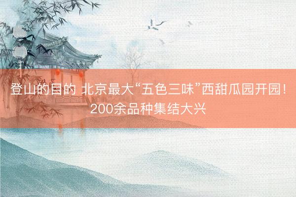 登山的目的 北京最大“五色三味”西甜瓜园开园！200余品种集结大兴