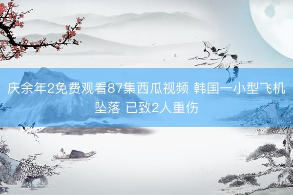 庆余年2免费观看87集西瓜视频 韩国一小型飞机坠落 已致2人重伤
