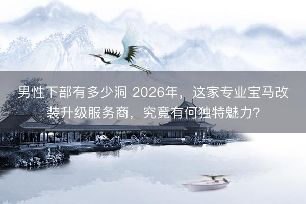 男性下部有多少洞 2026年，这家专业宝马改装升级服务商，究竟有何独特魅力？