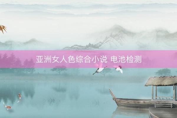 亚洲女人色综合小说 电池检测