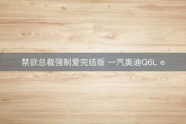 禁欲总裁强制爱完结版 一汽奥迪Q6L e