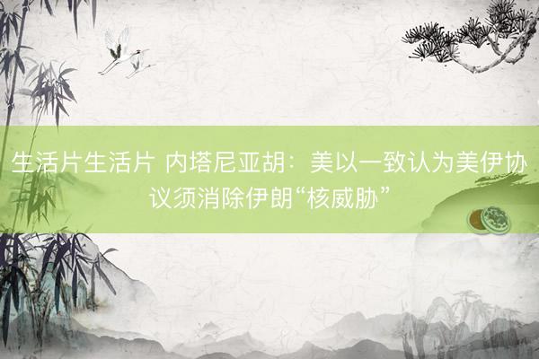 生活片生活片 内塔尼亚胡：美以一致认为美伊协议须消除伊朗“核威胁”