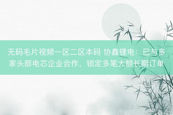 无码毛片视频一区二区本码 协鑫锂电：已与多家头部电芯企业合作，锁定多笔大额长期订单