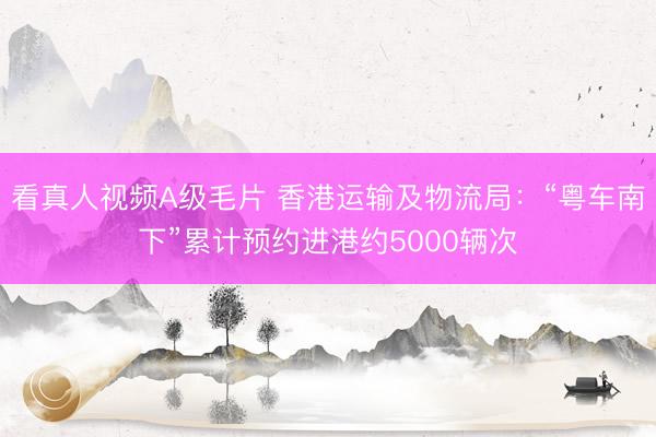 看真人视频A级毛片 香港运输及物流局：“粤车南下”累计预约进港约5000辆次
