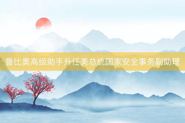 鲁比奥高级助手升任美总统国家安全事务副助理