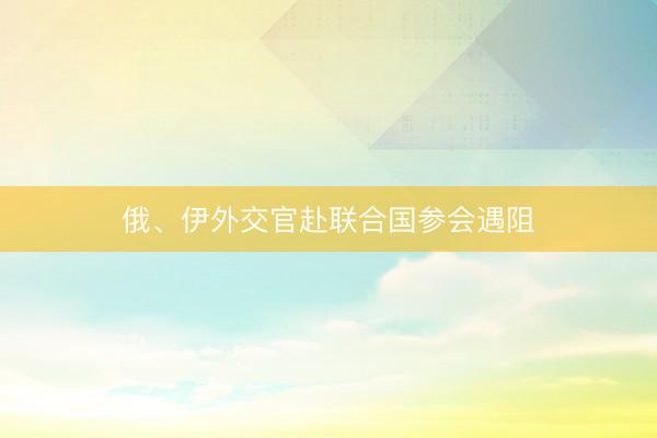 俄、伊外交官赴联合国参会遇阻