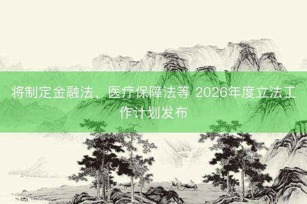 将制定金融法、医疗保障法等 2026年度立法工作计划发布