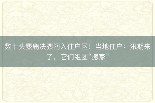 数十头麋鹿决骤闯入住户区！当地住户：汛期来了，它们组团“搬家”