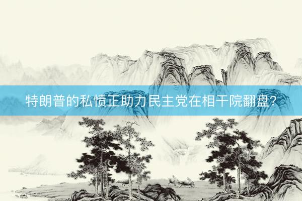特朗普的私愤正助力民主党在相干院翻盘？