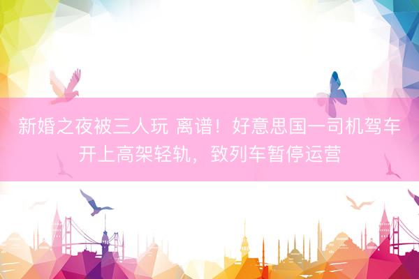 新婚之夜被三人玩 离谱！好意思国一司机驾车开上高架轻轨，致列车暂停运营