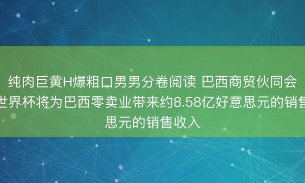 纯肉巨黄H爆粗口男男分卷阅读 巴西商贸伙同会瞻望世界杯将为巴西零卖业带来约8.58亿好意思元的销售收入