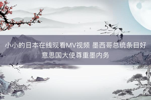 小小的日本在线观看MV视频 墨西哥总统条目好意思国大使尊重墨内务