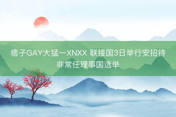 痞子GAY大猛一XNXX 联接国3日举行安招待非常任理事国选举