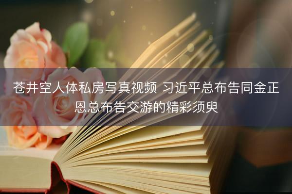 苍井空人体私房写真视频 习近平总布告同金正恩总布告交游的精彩须臾