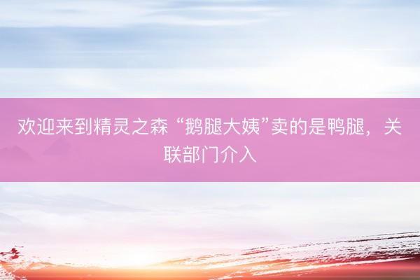 欢迎来到精灵之森 “鹅腿大姨”卖的是鸭腿，关联部门介入