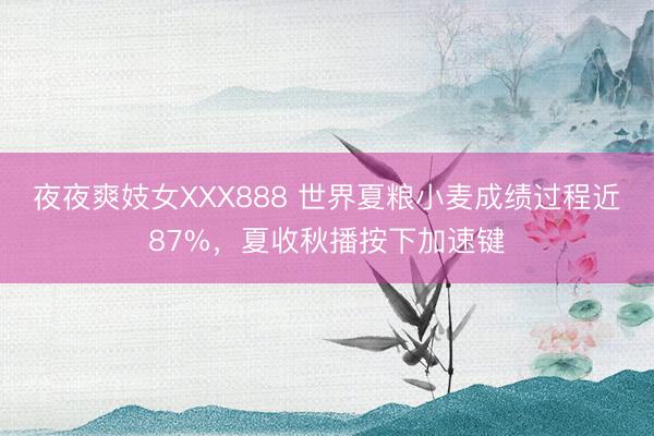 夜夜爽妓女XXX888 世界夏粮小麦成绩过程近87%，夏收秋播按下加速键