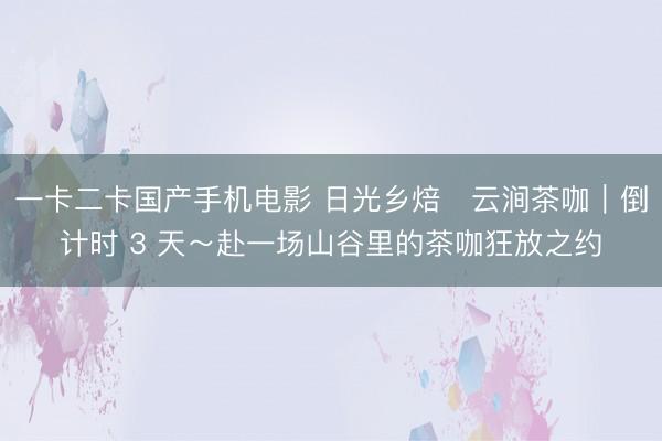 一卡二卡国产手机电影 日光乡焙・云涧茶咖｜倒计时 3 天～赴一场山谷里的茶咖狂放之约