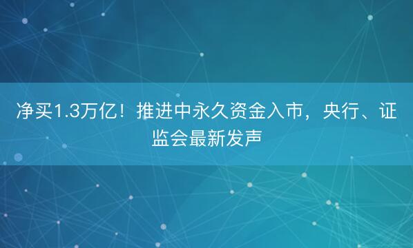 净买1.3万亿！推进中永久资金入市，央行、证监会最新发声