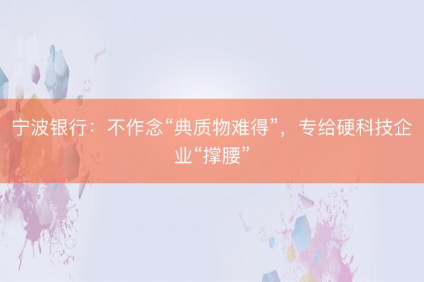 宁波银行：不作念“典质物难得”，专给硬科技企业“撑腰”