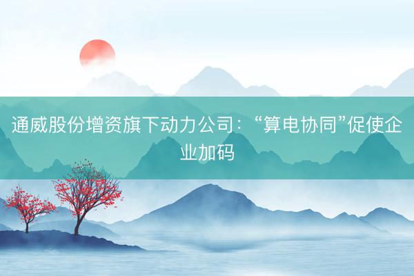 通威股份增资旗下动力公司：“算电协同”促使企业加码