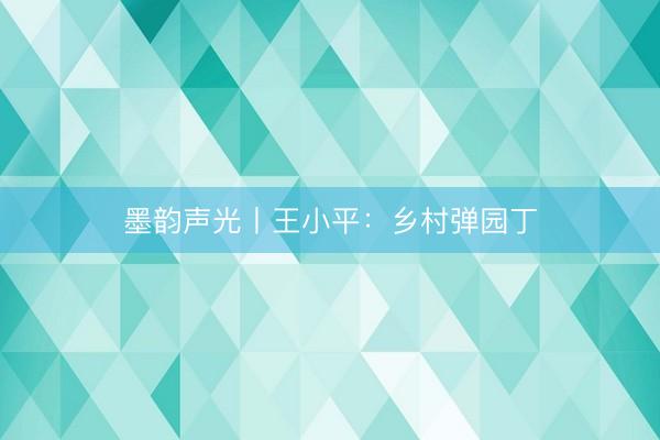墨韵声光丨王小平：乡村弹园丁