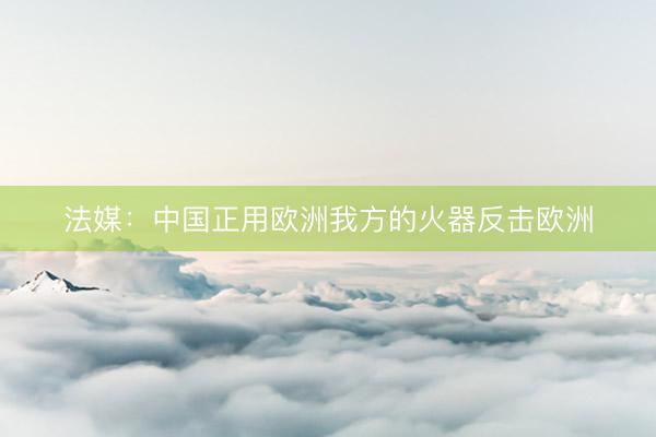 法媒：中国正用欧洲我方的火器反击欧洲